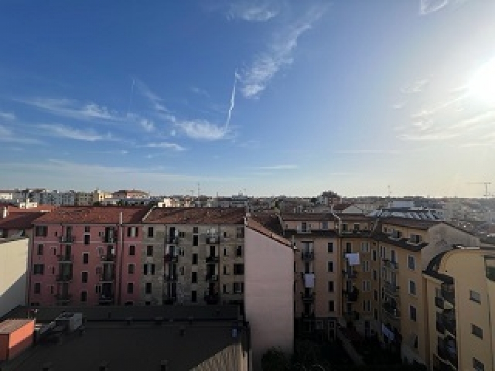IMG_4297.jpg